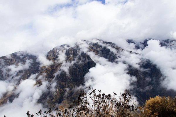 Le guide complet des hôtels pet-friendly incontournables en Rhône-Alpes