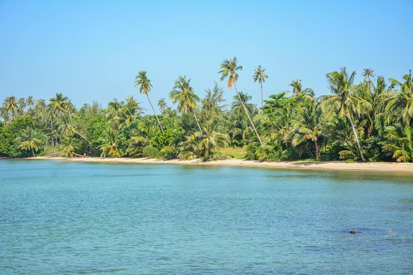Voyager en pleine forme : conseils essentiels pour maintenir une santé parfaite lors de vos déplacements